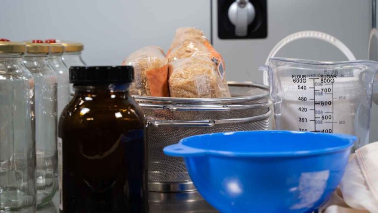 fournitures pour mycélium de champignon sur riz complet