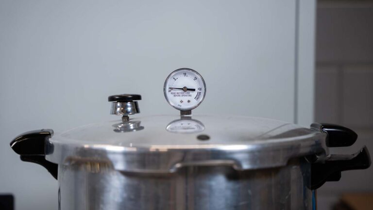 fournitures pour mycélium de champignon sur riz complet : cocotte-minute autoclave