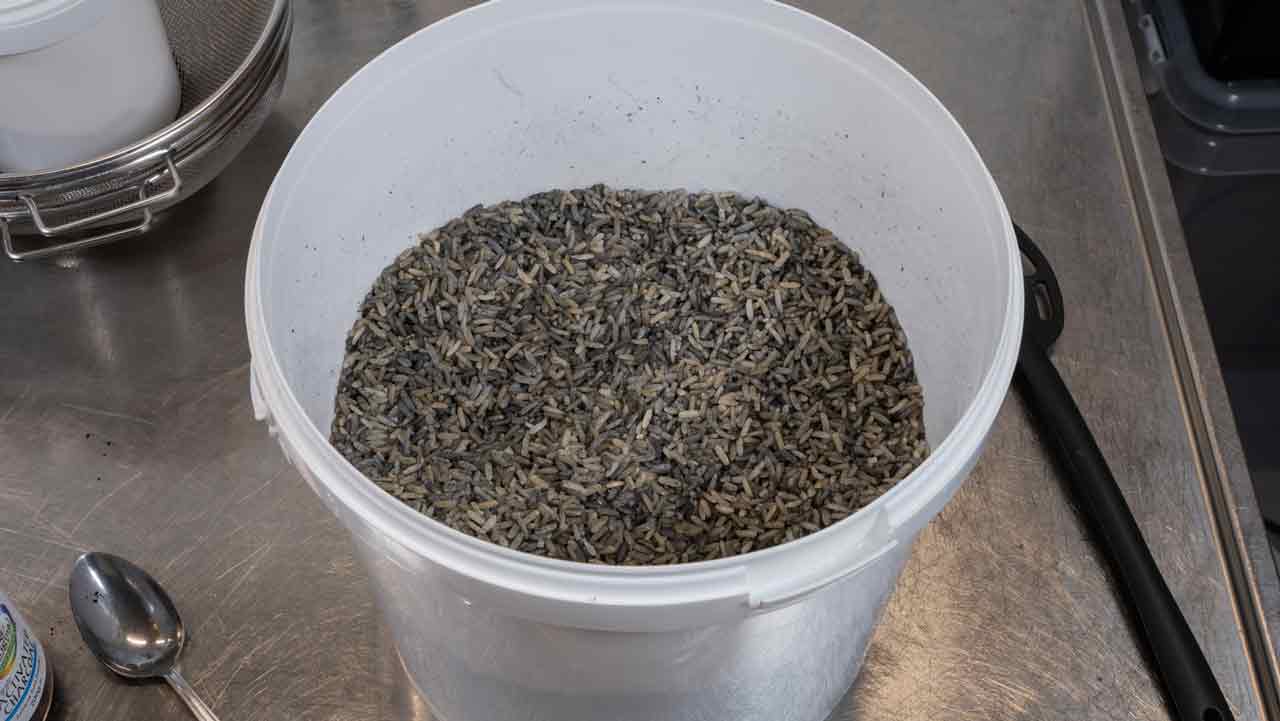 charbon actif ajouté au riz complet
