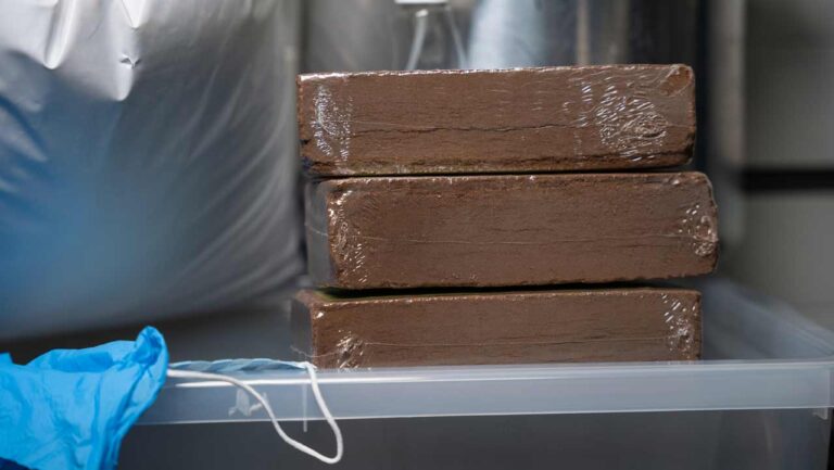 coco coir blokken voor bereiding van cvg bulksubstraat voor kweken van paddo's