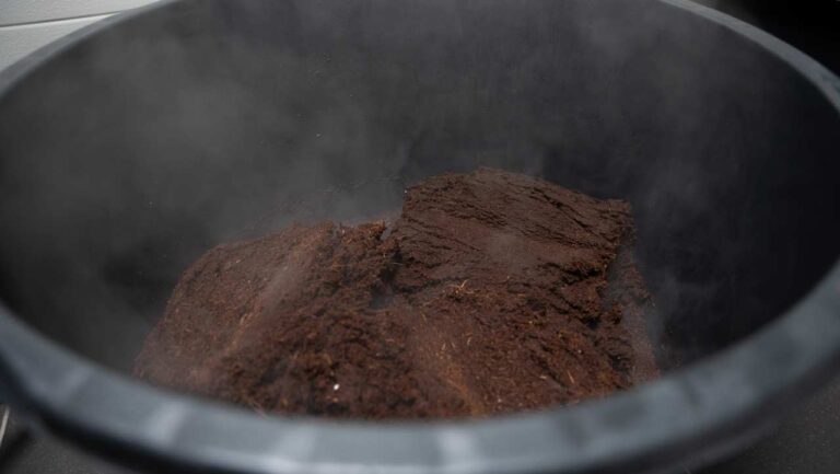 uitgezette en gepasteuriseerde coco coir door kokend water