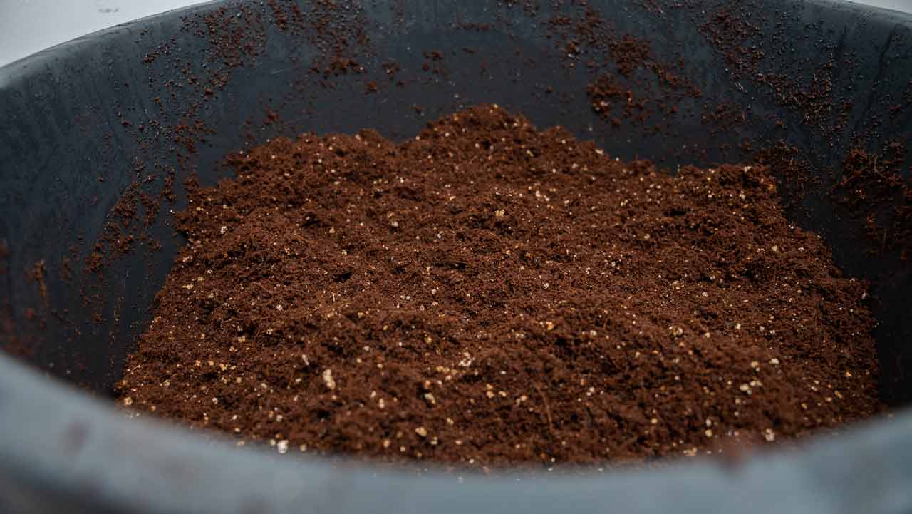 coir verm gypsum bulksubstraat cvg klaar om paddo's te kweken