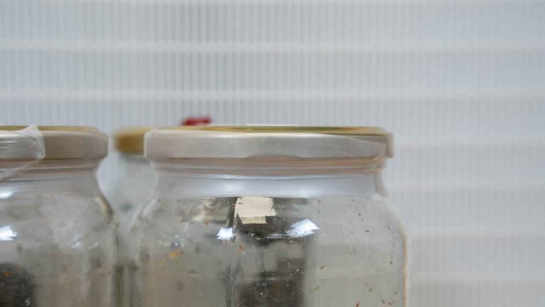 Parafilm sealing for extra contamination protection
