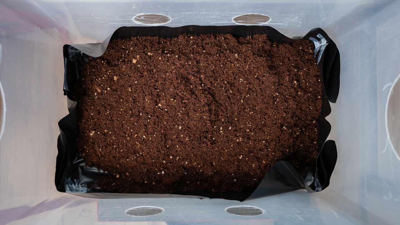 coir verm gypsum cvg bulksubstraat met liner in een monotub