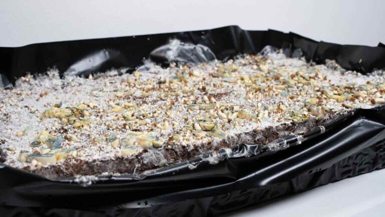 substrat de fibre de coco après la récolte des champignons magiques, nettoyé au couteau