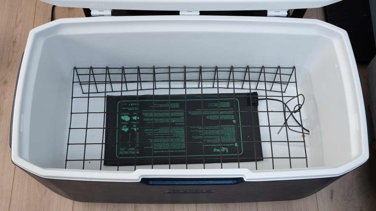 glacière-incubateur de mycélium de champignon faite maison, tapis chauffant