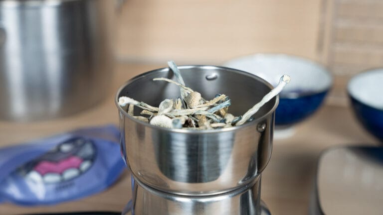 Zauberpilze mit der Kaffeemühle zu Pulver mahlen