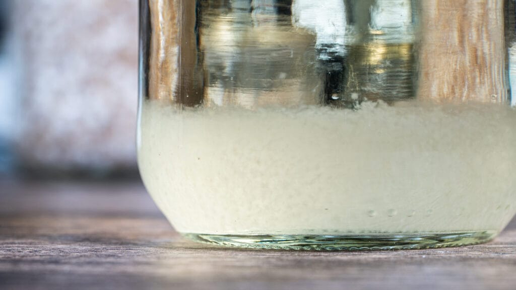 Micelio che cresce in un terreno di coltura liquido