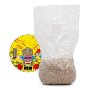 acid shroomz funghi magici hawaii miglio grain spawn grande 1,7 kg