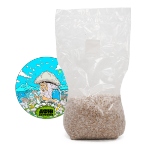 acid shroomz grain spawn di miglio funghi magici jack frost grande 1,7 kg