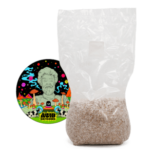 acid shroomz grain spawn di miglio funghi magici mckennaii grande 1,7 kg