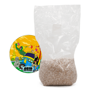 acid shroomz grain spawn di funghi magici thai miglio grande 1,7 kg