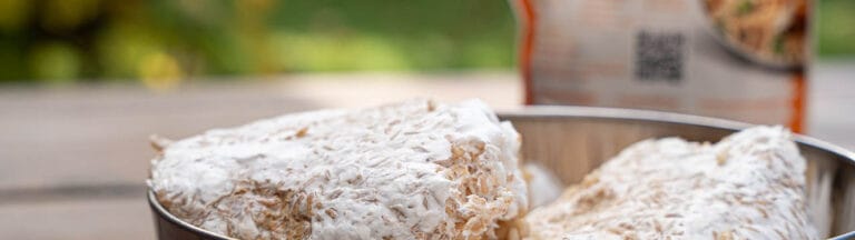 how to use the uncle ben's tek to create mushroom grain spawn