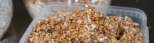 millet grain spawn mushroom grain spawn complete guide