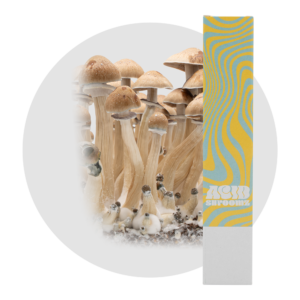 acid shroomz b plus b+ magic mushroom liquid culture syringe
