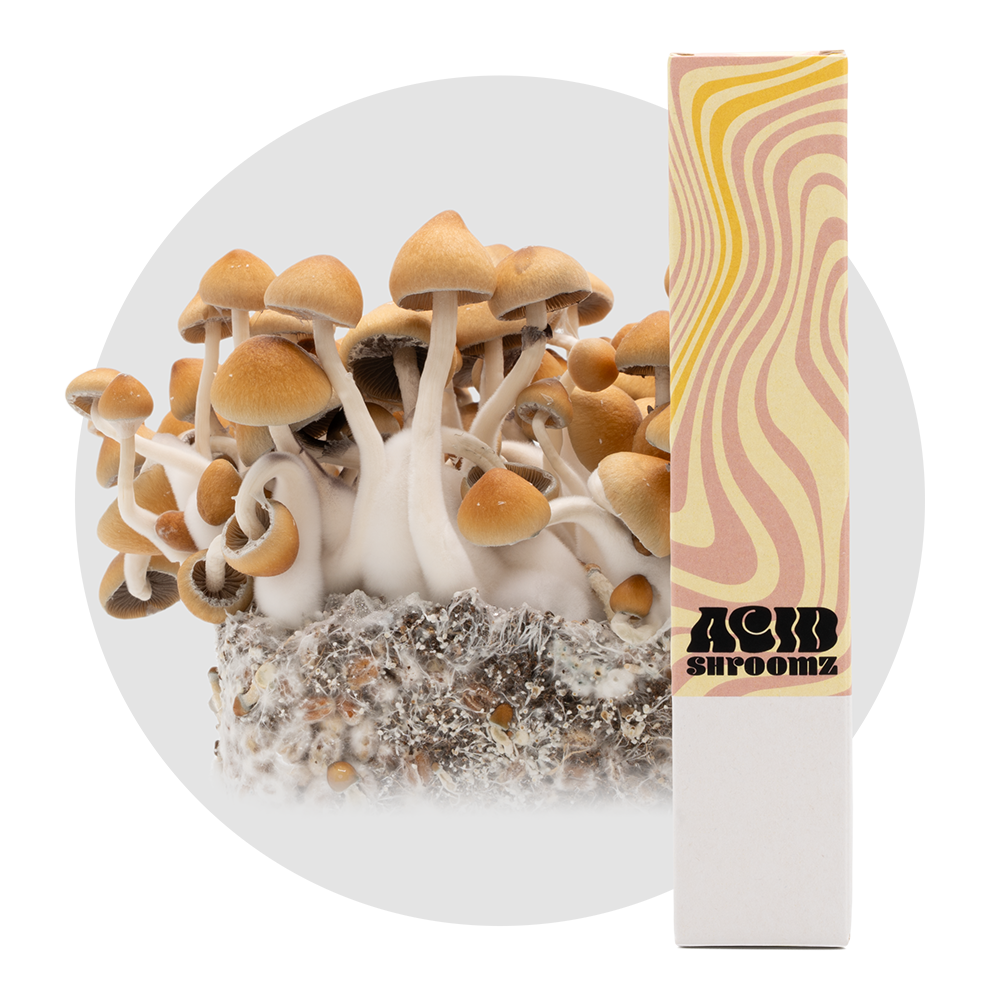 Siringa di spore di funghi magici Fiji Acid Shroomz