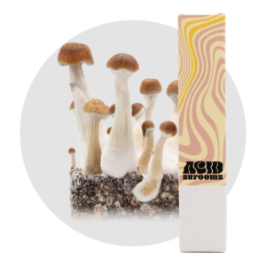 jeringa de esporas de setas mágicas Acid Shroomz Tidal Wave