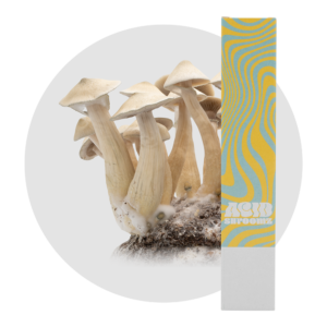 acid shroomz white rabbit magic mushroom liquid culture syringe