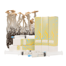 acid shroomz magic mushroom liquid cultures